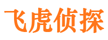 宝塔侦探公司